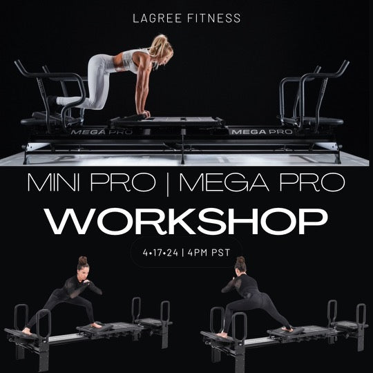 Mini Pro/Mega Pro Workshop
